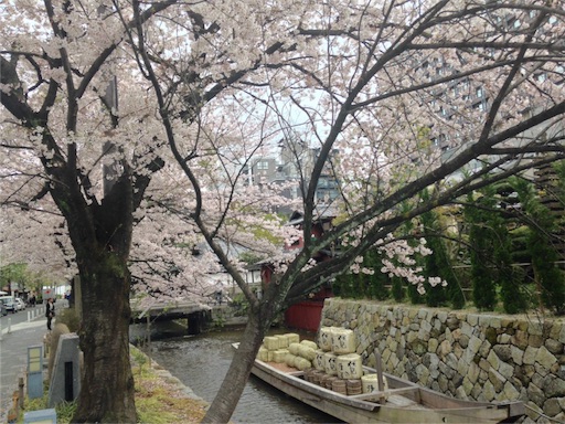 f:id:honeysuckle01:20160408043327j:image f:id:honeysuckle01:20160408043327j:image