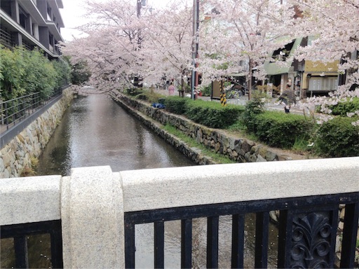 f:id:honeysuckle01:20160408043345j:image f:id:honeysuckle01:20160408043345j:image