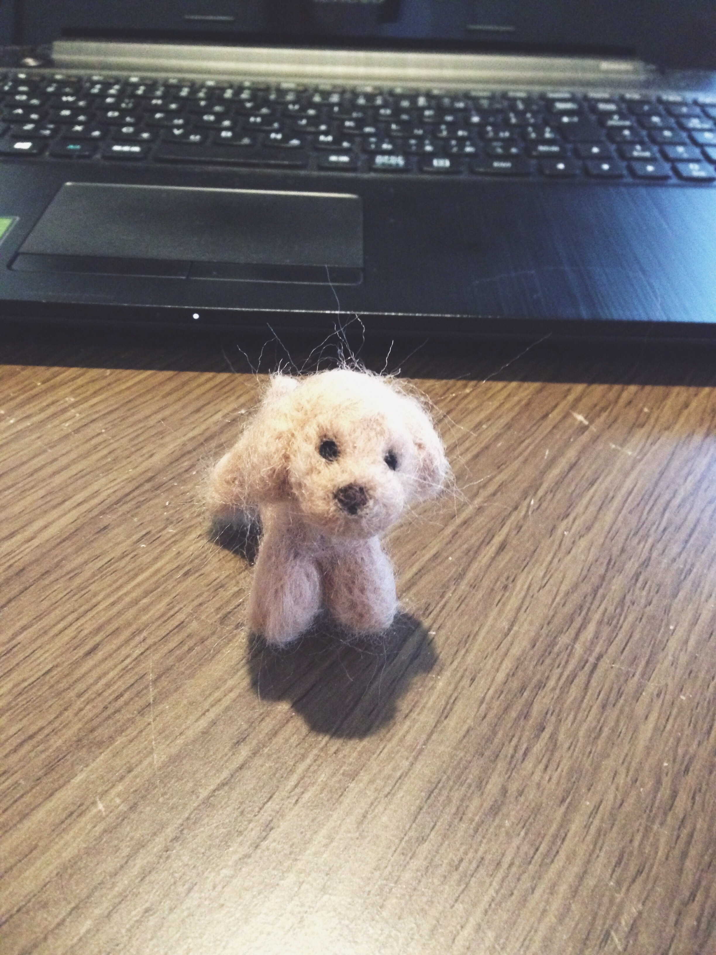 f:id:hongchimi:20160323160331j:image f:id:hongchimi:20160323160331j:image