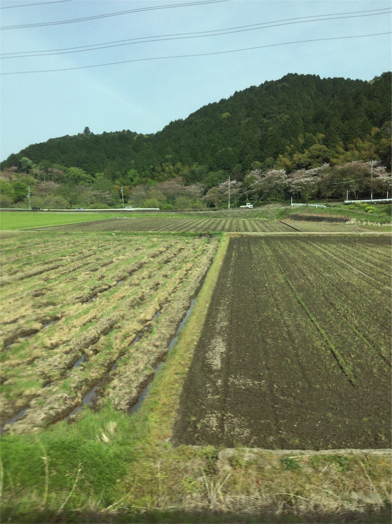 f:id:honobono_simple:20160416105416j:image f:id:honobono_simple:20160416105416j:image