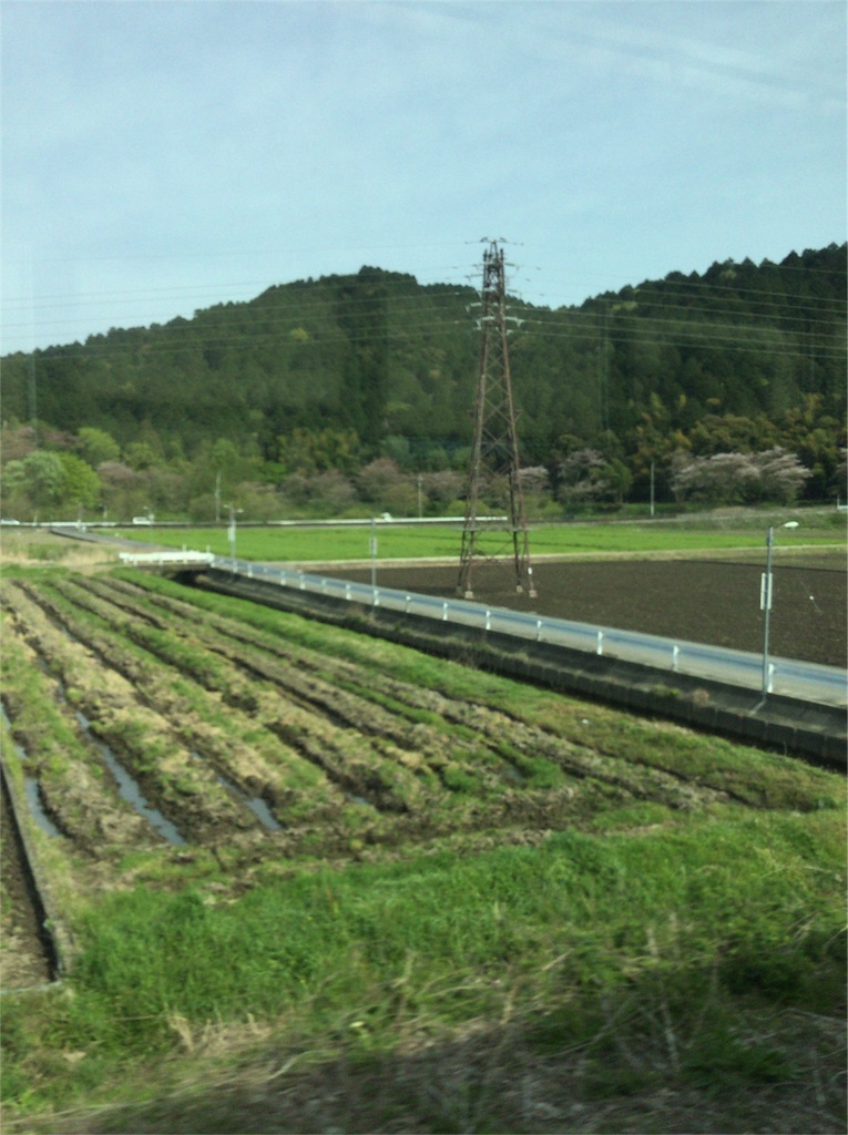 f:id:honobono_simple:20160416105530j:image f:id:honobono_simple:20160416105530j:image