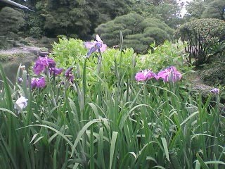 f:id:hoofbeat:20090504202537j:image f:id:hoofbeat:20090504202537j:image