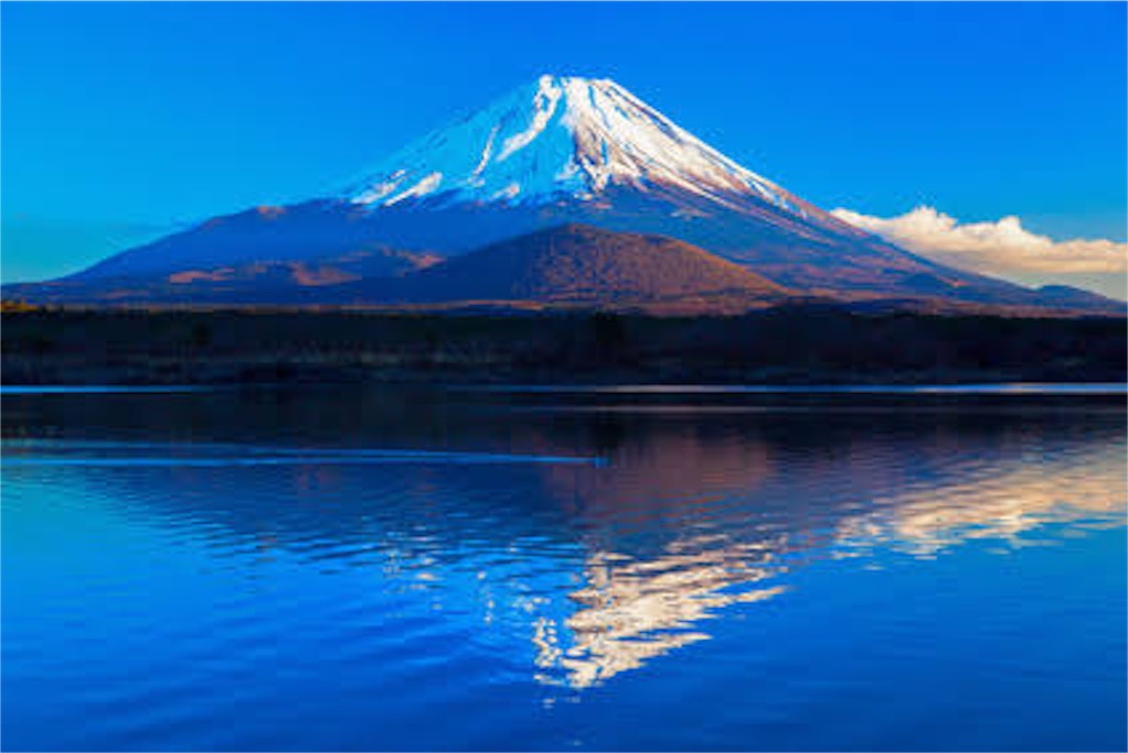 f:id:hooooooowl-15173:20151202224818j:image f:id:hooooooowl-15173:20151202224818j:image