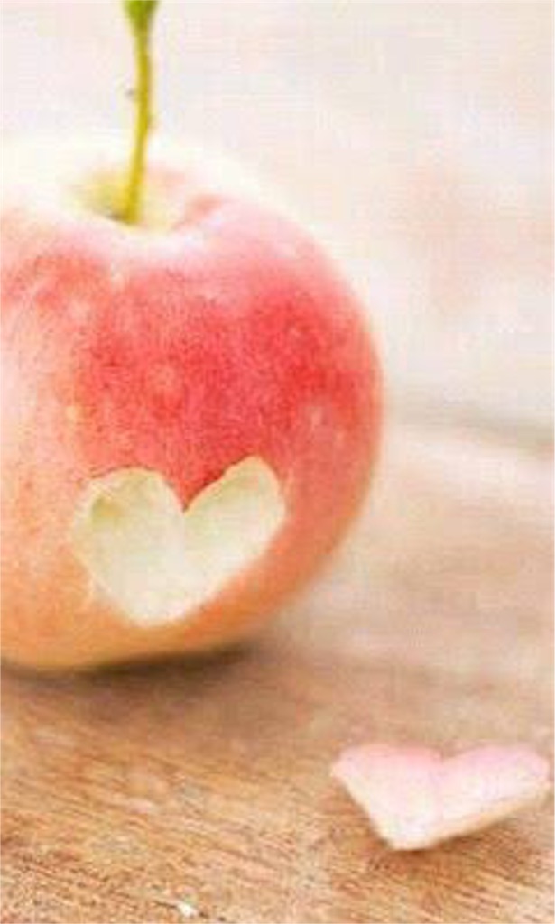 f:id:hooooooowl-15173:20151208232946j:image f:id:hooooooowl-15173:20151208232946j:image