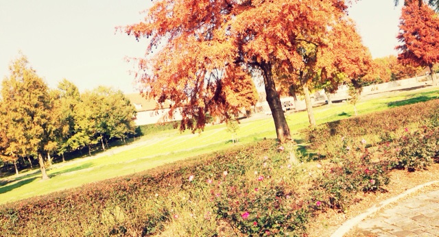 f:id:horahareta13:20131124175822j:plain f:id:horahareta13:20131124175822j:plain