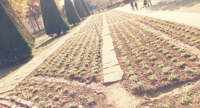 f:id:horahareta13:20131124175928j:plain f:id:horahareta13:20131124175928j:plain