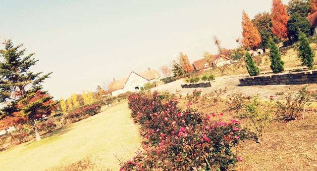 f:id:horahareta13:20131124181717j:plain f:id:horahareta13:20131124181717j:plain