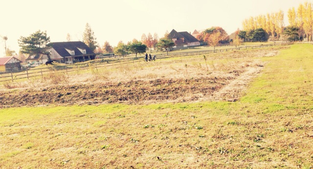 f:id:horahareta13:20131124200730j:plain f:id:horahareta13:20131124200730j:plain