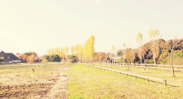 f:id:horahareta13:20131124200909j:plain f:id:horahareta13:20131124200909j:plain