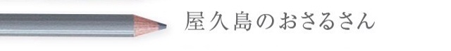 f:id:horahareta13:20131224110123j:plain f:id:horahareta13:20131224110123j:plain