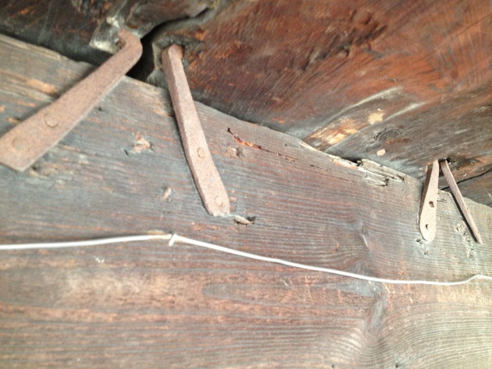 二条城の鶯張り ほらほら日記・・・・・京都たかばし【漁港直送 居酒屋 ほらほら】の日常。