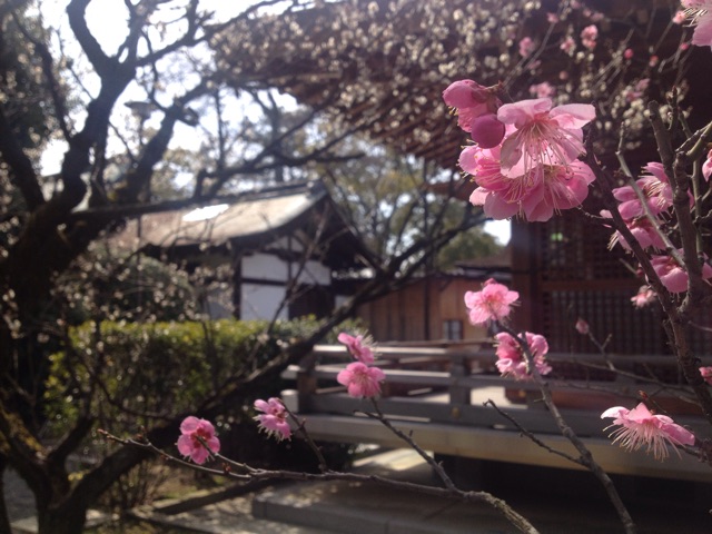 f:id:horahora2013:20150306205021j:plain f:id:horahora2013:20150306205021j:plain