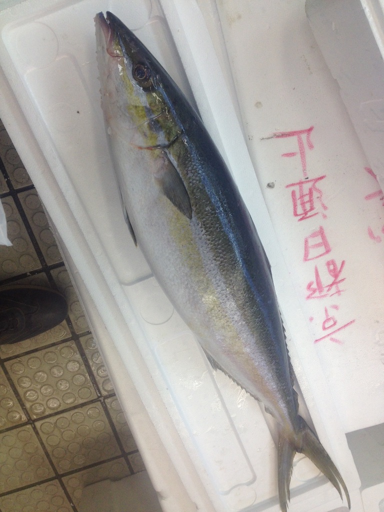 f:id:horahora2013:20151104140533j:image f:id:horahora2013:20151104140533j:image