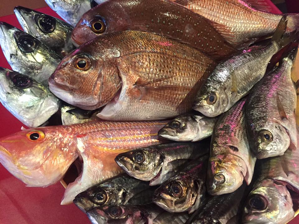 f:id:horahora2013:20160410113320j:plain