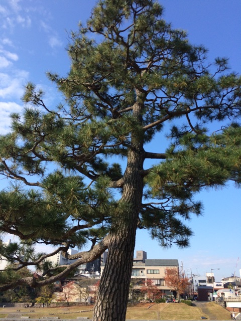 f:id:horihoriholiday:20141223224616j:plain f:id:horihoriholiday:20141223224616j:plain