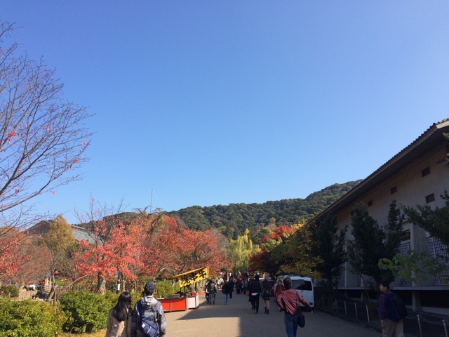 f:id:horihoriholiday:20141223225253j:plain f:id:horihoriholiday:20141223225253j:plain