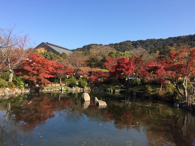 f:id:horihoriholiday:20141223225309j:plain f:id:horihoriholiday:20141223225309j:plain
