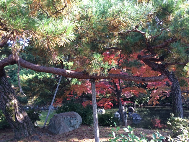 f:id:horihoriholiday:20141223225343j:plain f:id:horihoriholiday:20141223225343j:plain