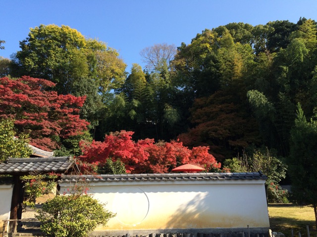 f:id:horihoriholiday:20141223230215j:plain f:id:horihoriholiday:20141223230215j:plain