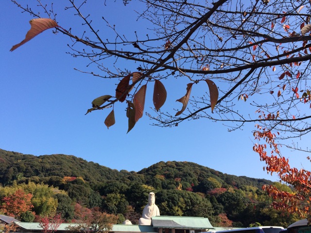 f:id:horihoriholiday:20141223230232j:plain f:id:horihoriholiday:20141223230232j:plain