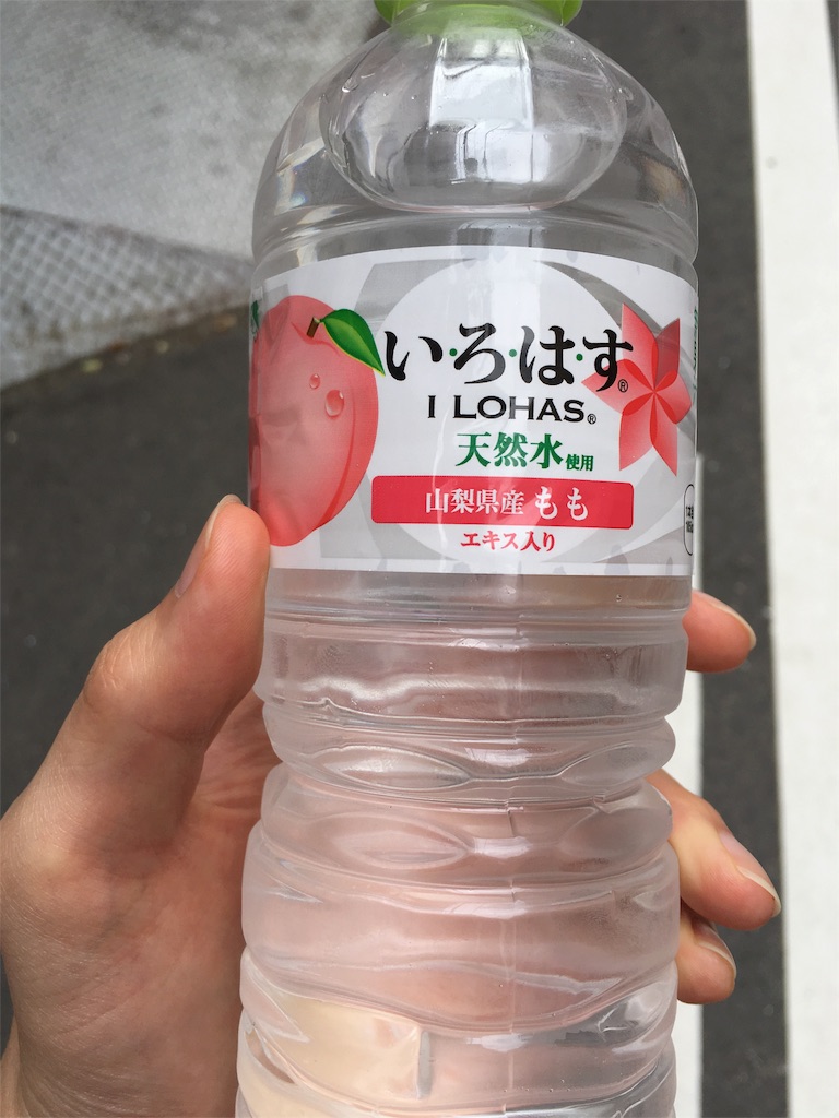 f:id:horihoriholiday:20160604232512j:image f:id:horihoriholiday:20160604232512j:image