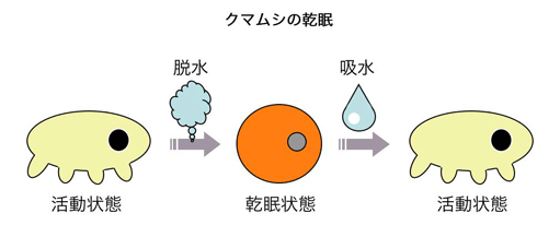f:id:horikawad:20110809122936g:image:w450 f:id:horikawad:20110809122936g:image:w450
