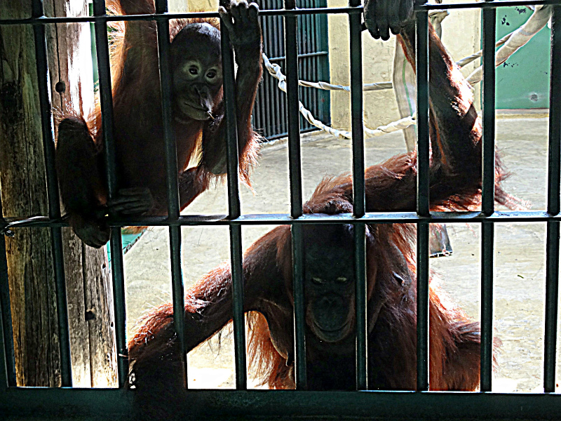 f:id:horohhoo:20141011030600j:plain