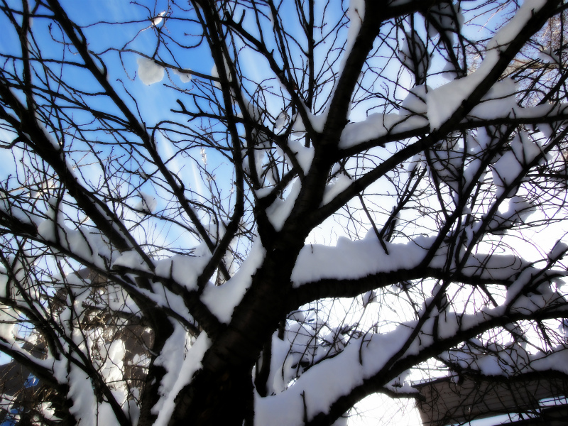 f:id:horohhoo:20151201102124j:plain