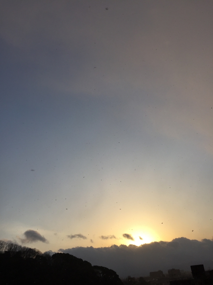 f:id:hoshihanaroma:20150128205700j:plain f:id:hoshihanaroma:20150128205700j:plain