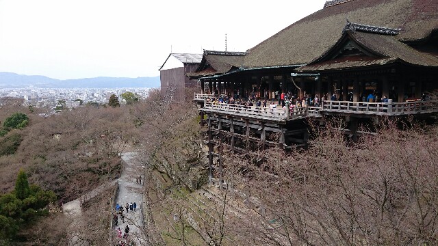 f:id:hoshinokent:20160310232637j:image f:id:hoshinokent:20160310232637j:image