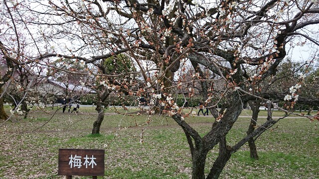 f:id:hoshinokent:20160311212536j:image f:id:hoshinokent:20160311212536j:image