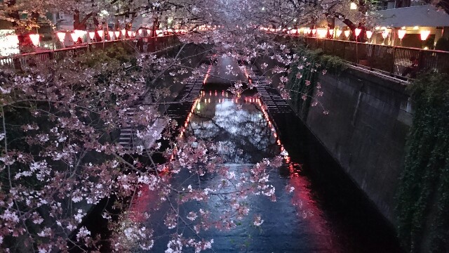 f:id:hoshinokent:20160408195657j:image f:id:hoshinokent:20160408195657j:image