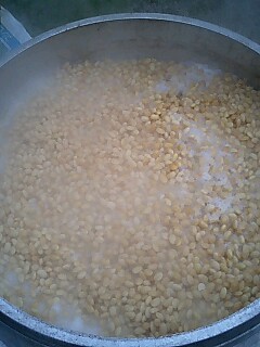 f:id:hot:20081108092751j:image