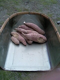 f:id:hot:20081108093454j:image