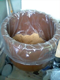 f:id:hot:20081108130144j:image