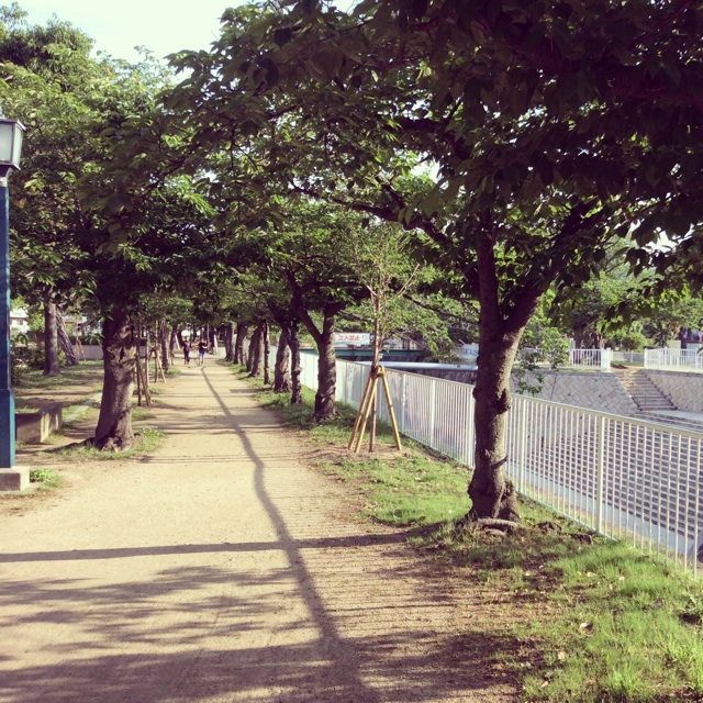 f:id:hoteggman:20140530111923j:plain f:id:hoteggman:20140530111923j:plain
