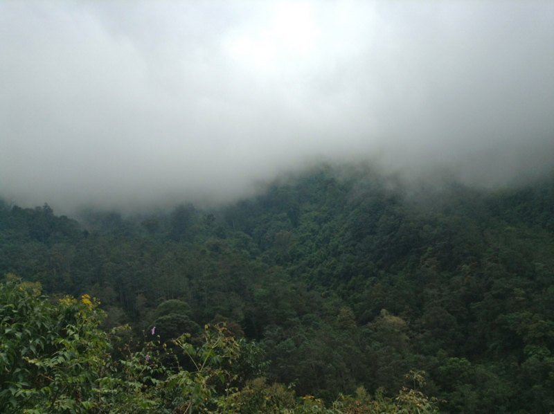 f:id:hourou_world:20131222130656j:plain f:id:hourou_world:20131222130656j:plain