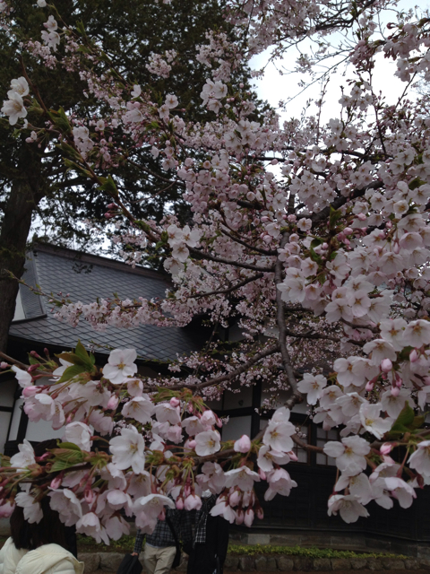 f:id:howahowa11:20130506163814j:plain f:id:howahowa11:20130506163814j:plain