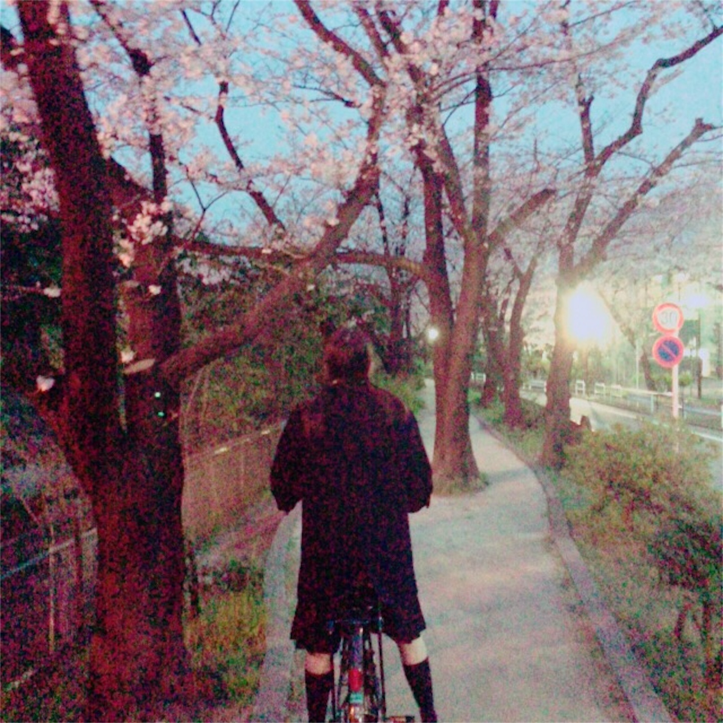 f:id:hp0v0hp:20160404202652j:image f:id:hp0v0hp:20160404202652j:image