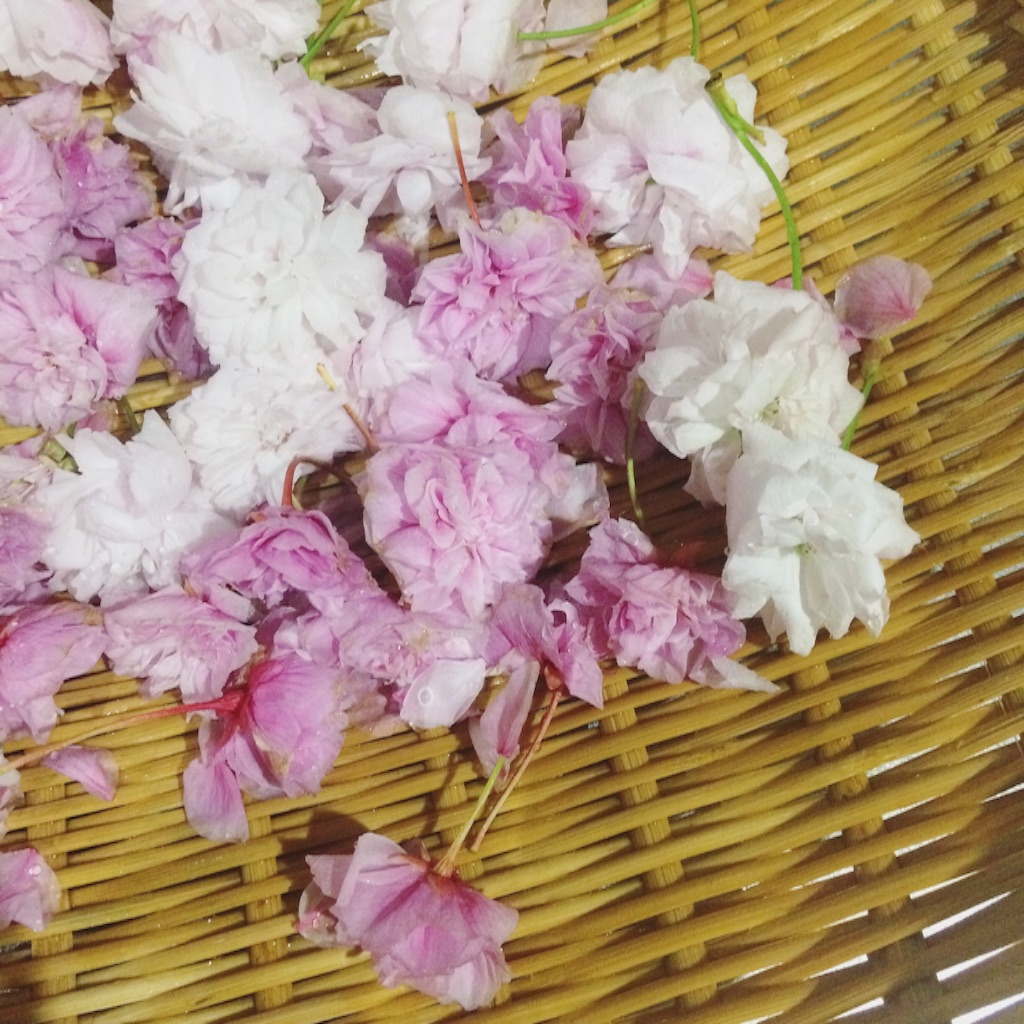 f:id:hsm2:20160418092606j:image f:id:hsm2:20160418092606j:image