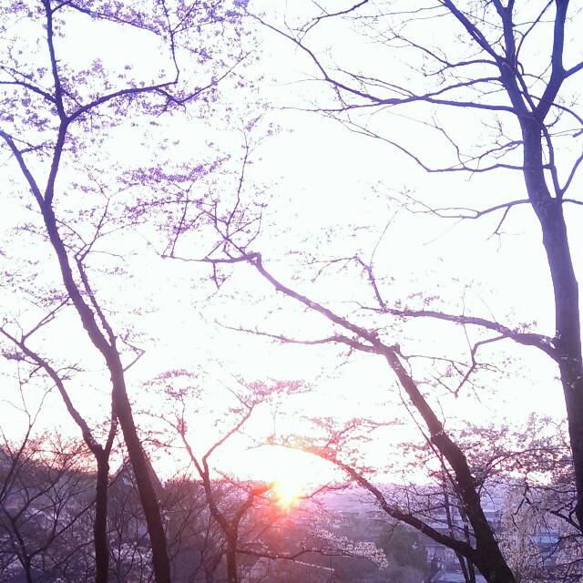 f:id:ht_tadano:20150330183642j:image f:id:ht_tadano:20150330183642j:image