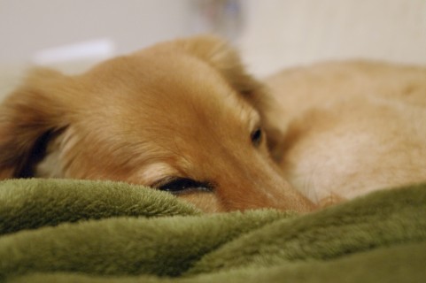 f:id:htnosm:20160121024220j:plain f:id:htnosm:20160121024220j:plain