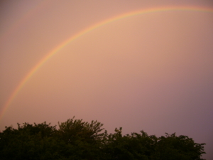 f:id:hukuyasu:20100521184134j:image f:id:hukuyasu:20100521184134j:image