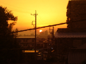 f:id:hukuyasu:20100521184226j:image f:id:hukuyasu:20100521184226j:image