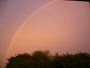 f:id:hukuyasu:20100521184509j:image f:id:hukuyasu:20100521184509j:image
