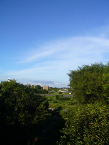 f:id:hukuyasu:20100719174218j:image f:id:hukuyasu:20100719174218j:image
