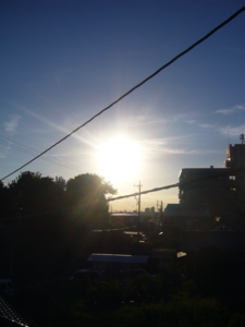 f:id:hukuyasu:20100719181119j:image f:id:hukuyasu:20100719181119j:image