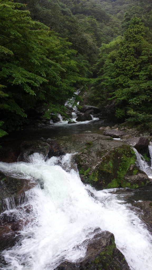 f:id:hynm_ihara:20150627125141j:plain f:id:hynm_ihara:20150627125141j:plain