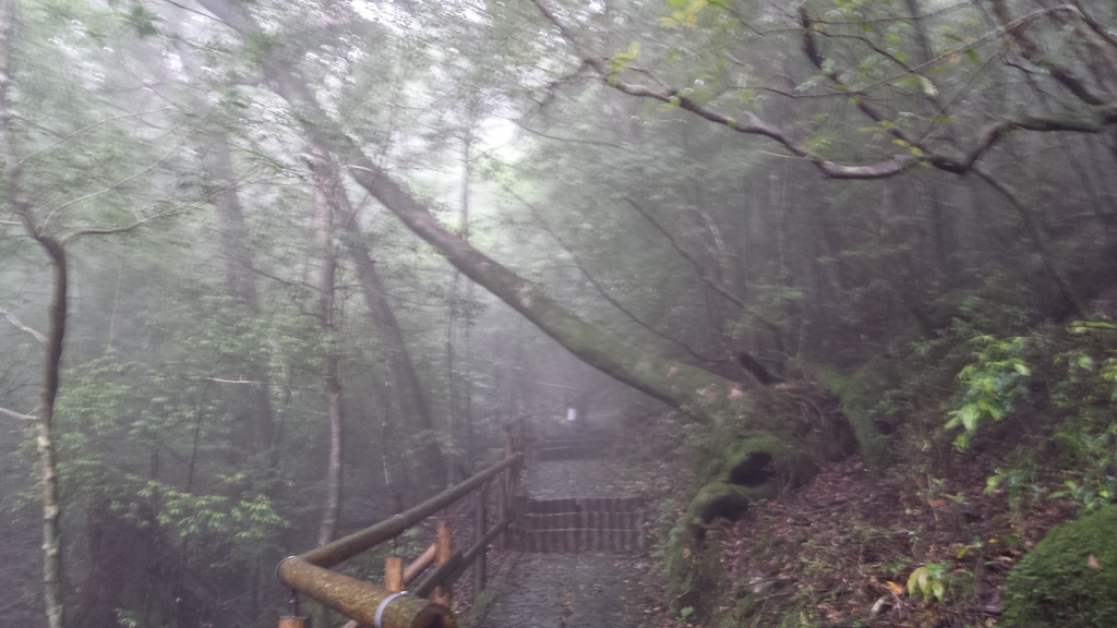 f:id:hynm_ihara:20150627130059j:plain f:id:hynm_ihara:20150627130059j:plain