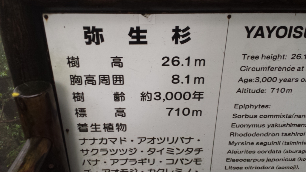 f:id:hynm_ihara:20150627131110j:plain f:id:hynm_ihara:20150627131110j:plain